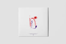 Charger l'image dans la galerie, Anenon revient avec un album très attendu, Moons Melt Milk Light, qui présente ses œuvres les plus personnelles, expressives et saisissantes à ce jour. COLLOQUE est un concept-store proposant musique, illustration et artisanat. Vous y trouverez de nombreuses idées cadeaux !