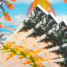 Charger l'image dans la galerie, Sélection spéciale pour le festival Pot au Print, organisé par COLLOQUE et les éditions microgram. Illustration de Flor Chemin, produite par le Studio Fidèle, à Paris. COLLOQUE est un concept-store proposant musique, illustration et artisanat. Nombreuses idées cadeaux !