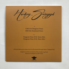 Charger l'image dans la galerie, Haedong Seoungguk D.K. Daegeum Dosa pochette album vinyl