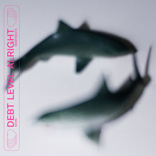 Charger l'image dans la galerie, pochette album, Kevin Hearbeats, Debt Level Alright, S76