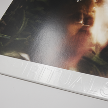 Charger l'image dans la galerie, santigold, santogold, spirituals, album cover, vinyle, pochette