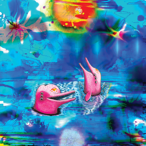 pink dolphins, anteloper, international anthem, cover album