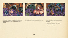 Charger l&#39;image dans la galerie, couverture, bd, bande dessinée, album, étienne beck, etienne, mad maxi jack, mad, maxi, jack, éditions fremok, bd dont vous êtes le héros, livre dont vous êtes le héros
