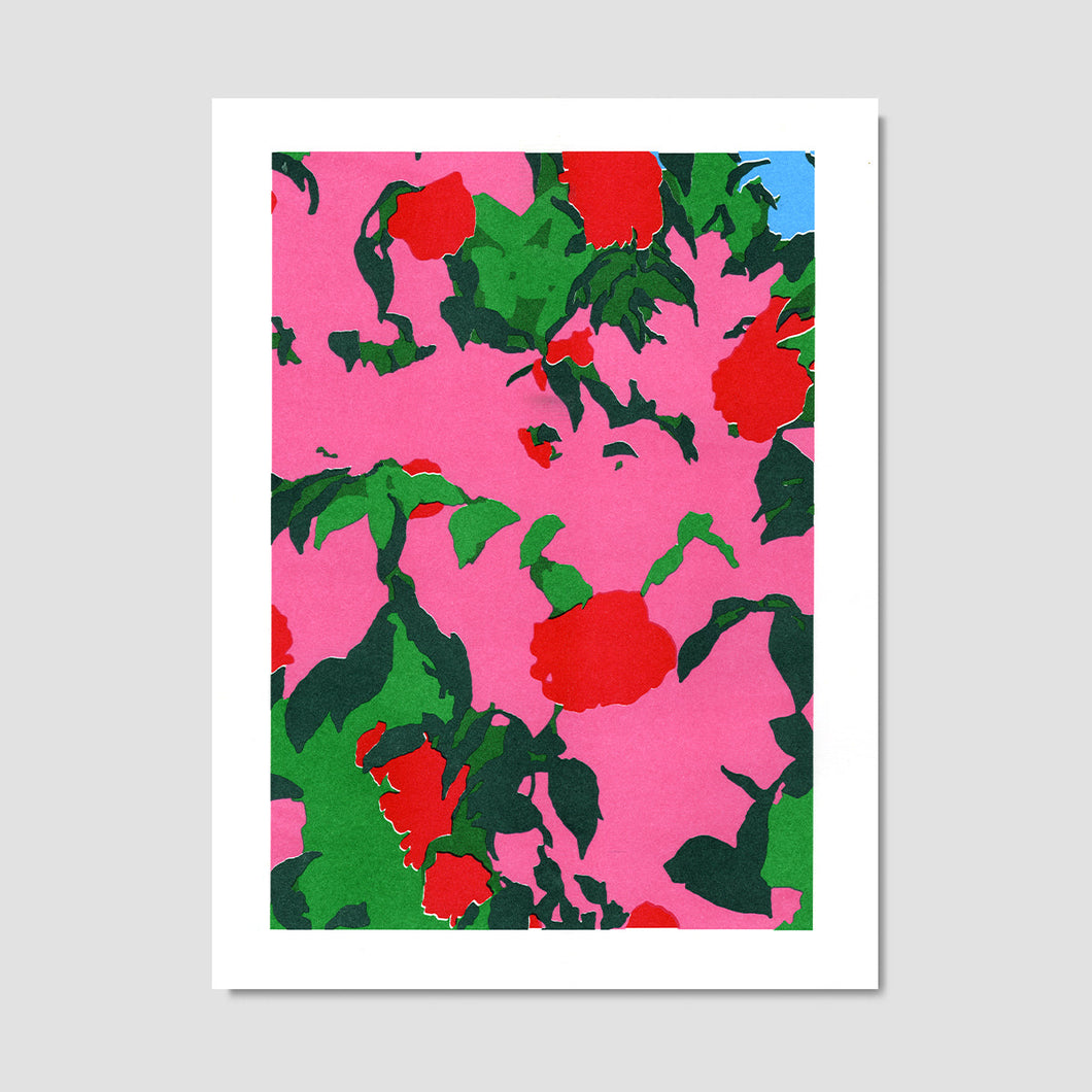 Maël le briand observateur roses fleurs affiche risographie illustration poster